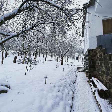 Almas Tanya Vendeghaz Villa Szuha Luaran gambar